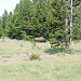 Yellowstone
